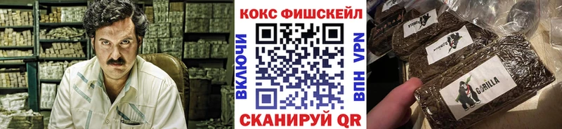 Купить где  Коряжма  Кокаин FishScale 