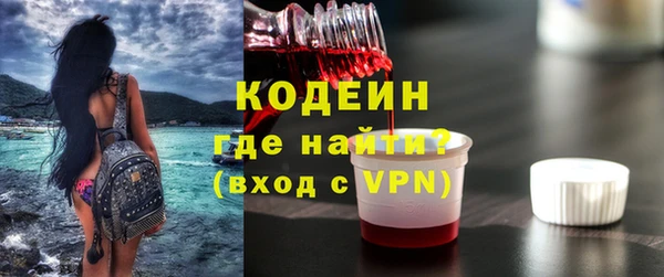 дмт Кодинск