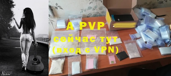 дмт Кодинск