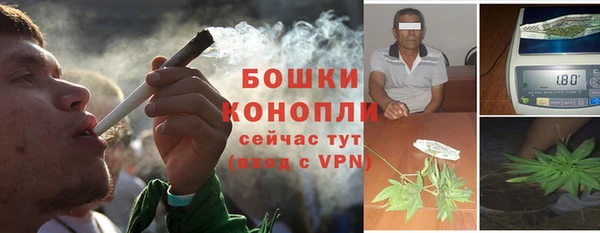 дмт Кодинск