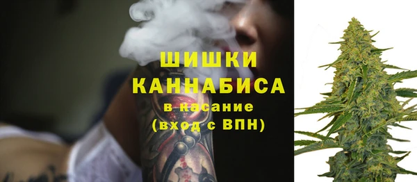 дмт Костерёво