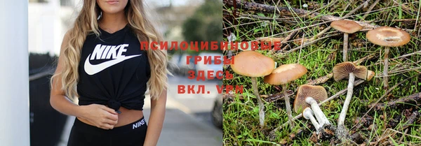 дмт Кодинск