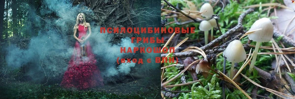 дмт Кодинск