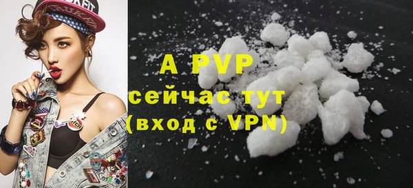 дмт Кодинск