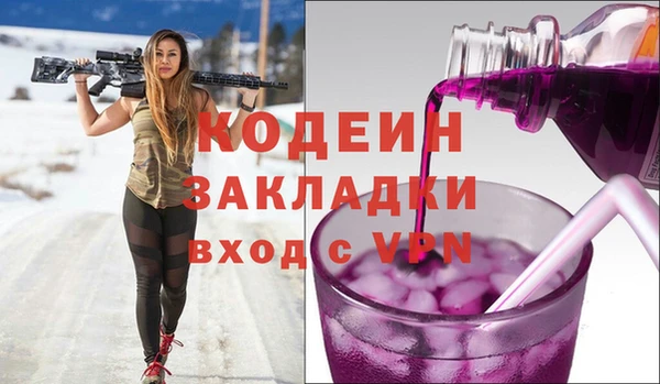 дмт Кодинск