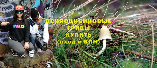 хмурый Козельск